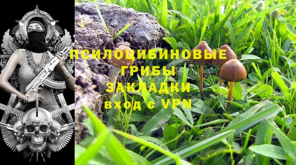 мескалин Арсеньев